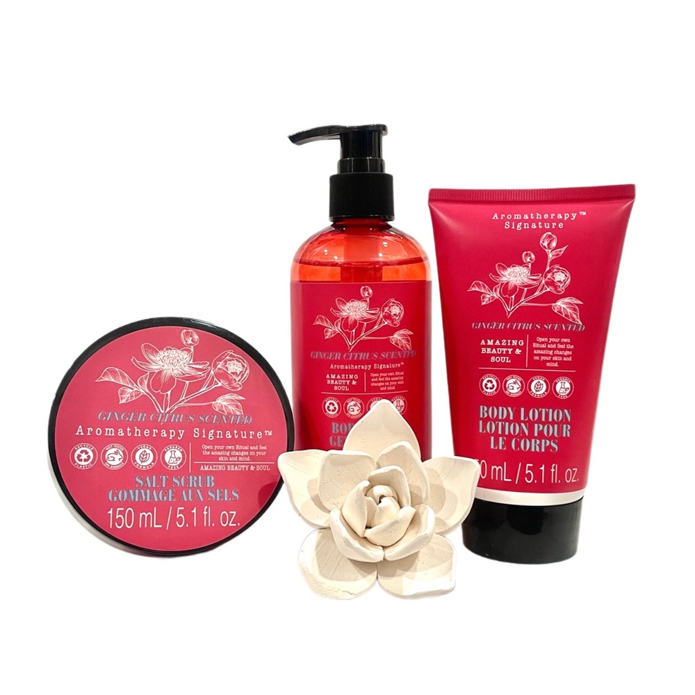 AROMATHERAPY SIGNATURE Ginger Scented Body Scrub, Wash & Lotion Set (3pcs) NWOT